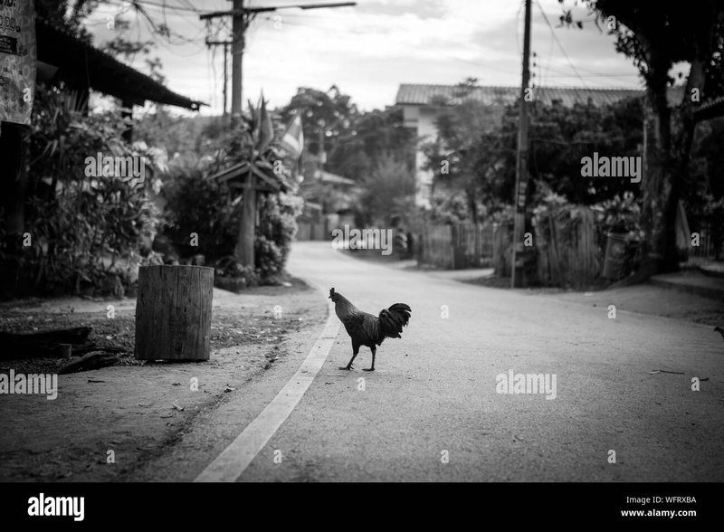 Chicken road - Descubre el Exclusivo Juego de Azar en la Ruta del Pollo en España